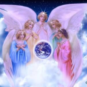 Meet your Posher, Mia